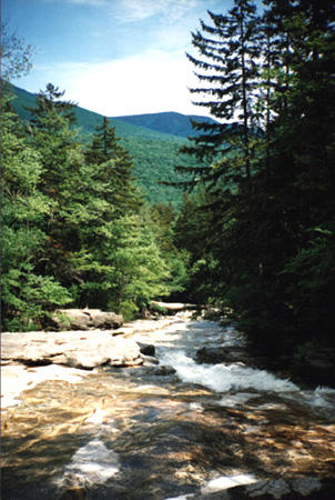Cascade Brook=